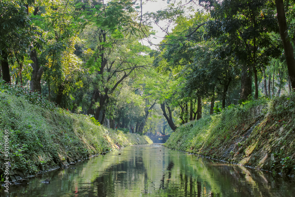 a city river with shady trees	
