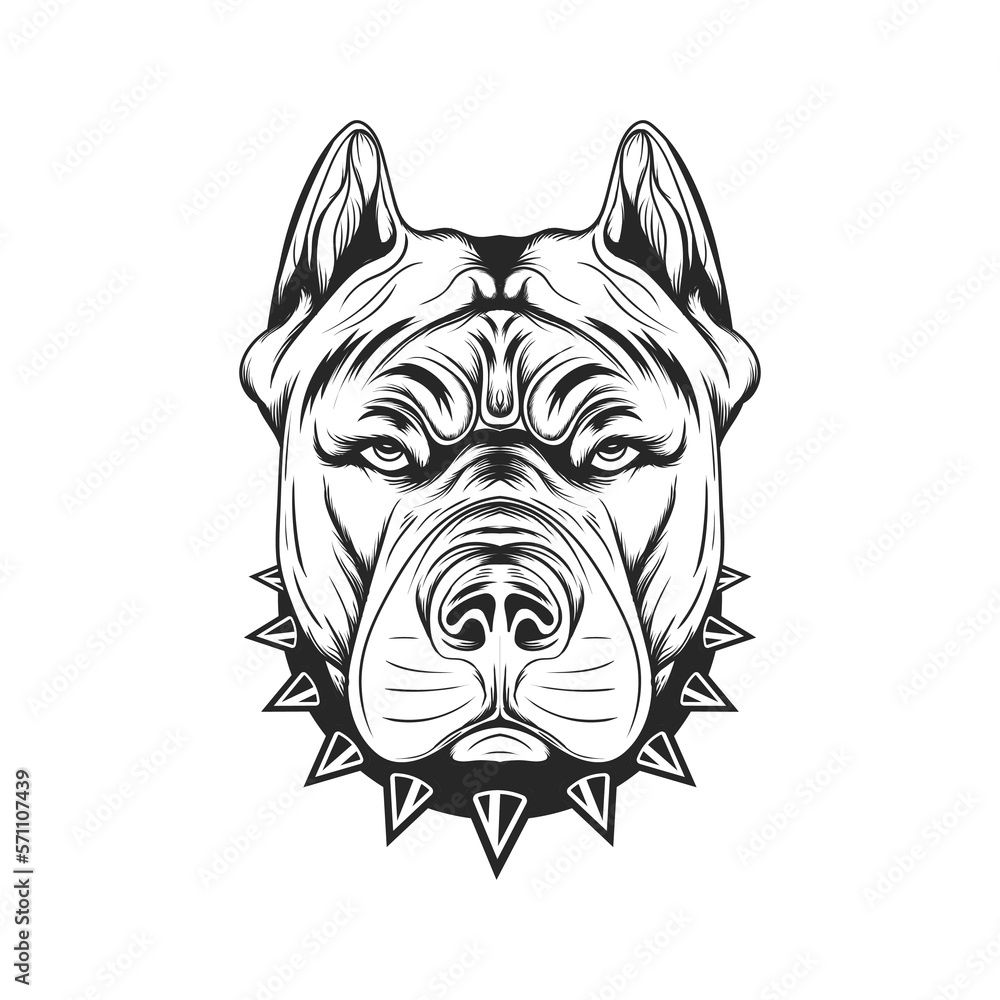 Pitbull Head Hand Drawing Black and White Isolated Vector Illustration Image-Pitbull Logo Design