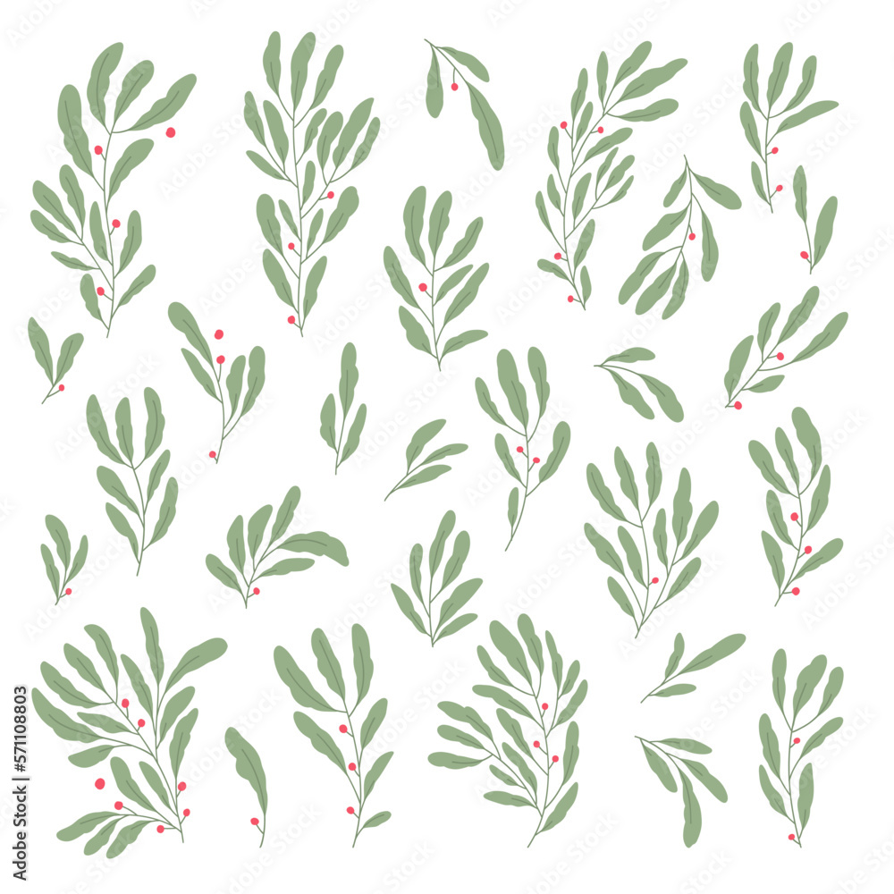 Set different elegant green branch, seeds, leaves Set different elegant green branch, seeds, leaves