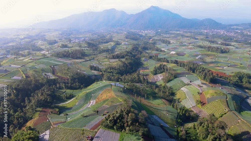 Rolling hills and terraced farmland fields , aerial view flyover, Indonesia Rolling hills and terraced farmland fields , aerial view flyover, Indonesia