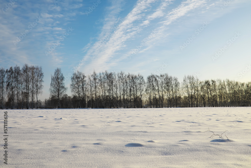 Winter snowy frosty landscape. The forest is covered with snow. Frost and fog in the park. Winter snowy frosty landscape. The forest is covered with snow. Frost and fog in the park.