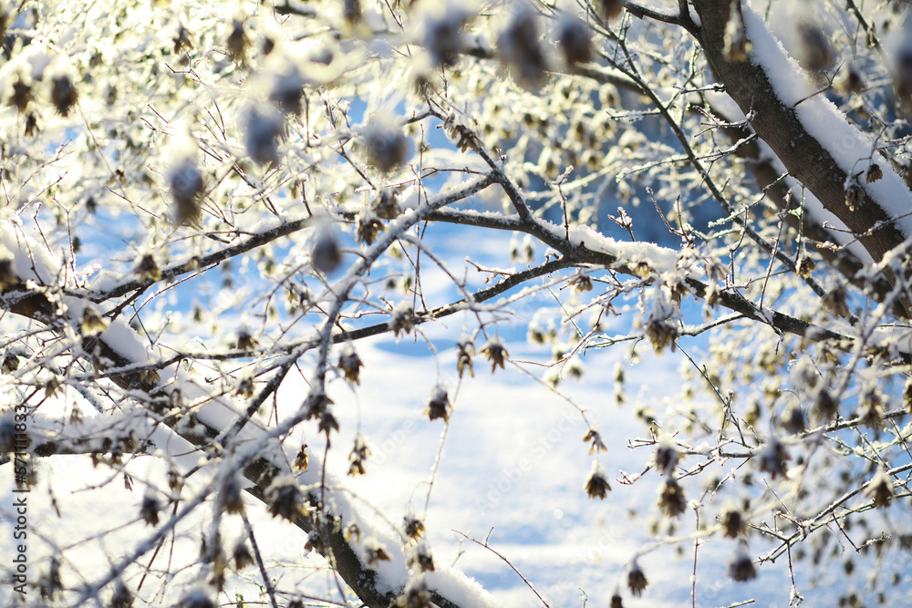 Winter landscape. Fairy-tale beauty of snow-covered streets. Snowfall and cooling in tourist areas.