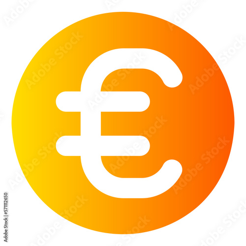 euro sign icon
