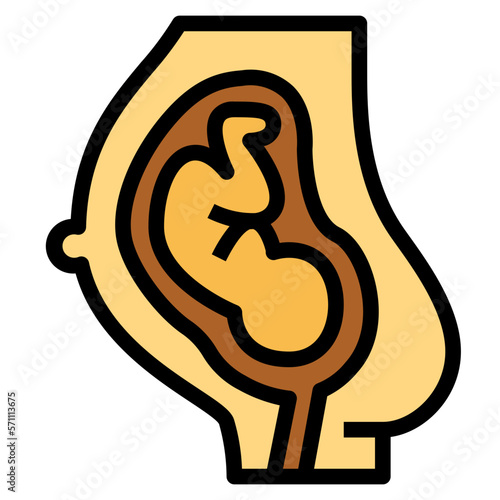 uterus filled outline icon style