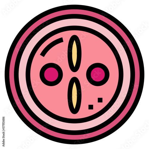 zygote filled outline icon style