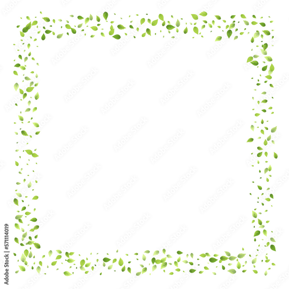 Leaves Green Falling Flying Foliage Leaf Tea Mint Leaves Green Falling Flying Foliage Leaf Tea Mint