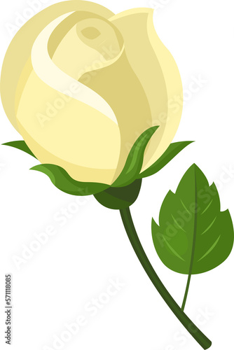 White rose on stem with leaf