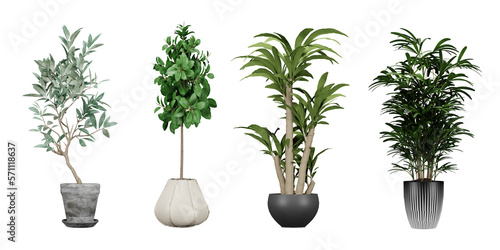 Set of plant in a pot isolated on white background, 3d render illustration.