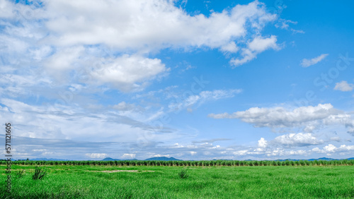 green field and blue sky