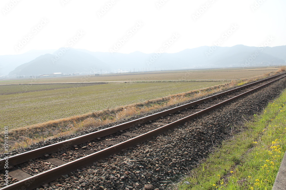 Fototapeta premium 愛媛県西予市 予讃線の線路と田んぼ