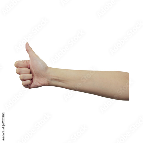 Wallpaper Mural Hand with transparent background Torontodigital.ca