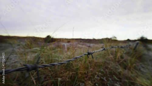 barbed wire spiked fence separating a field with vegetation. Detail plan photo