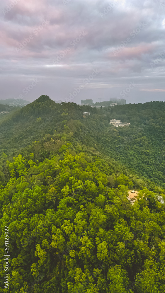 a Duckling Hill Hang Hau tseung kwan O, hong kong 10 Feb 2022