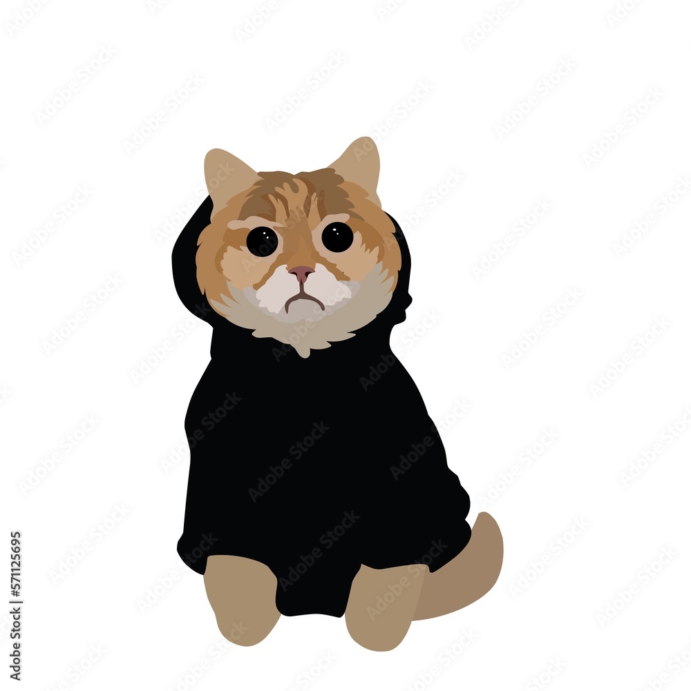 Obraz premium Cat vector illustration 