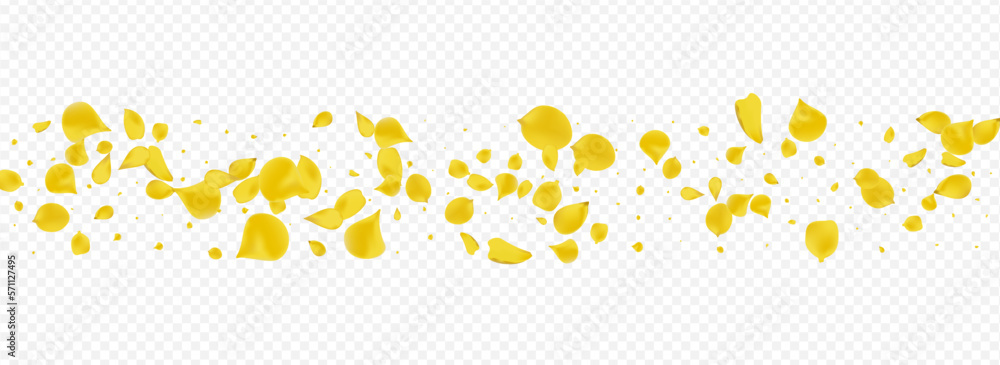 Gold Sakura Beauty Vector Panoramic Transparent Gold Sakura Beauty Vector Panoramic Transparent