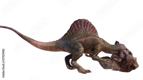 King Tyrannosaurus and Spinosaurus Fighting in Isolation on Transparent PNG Background © akiratrang