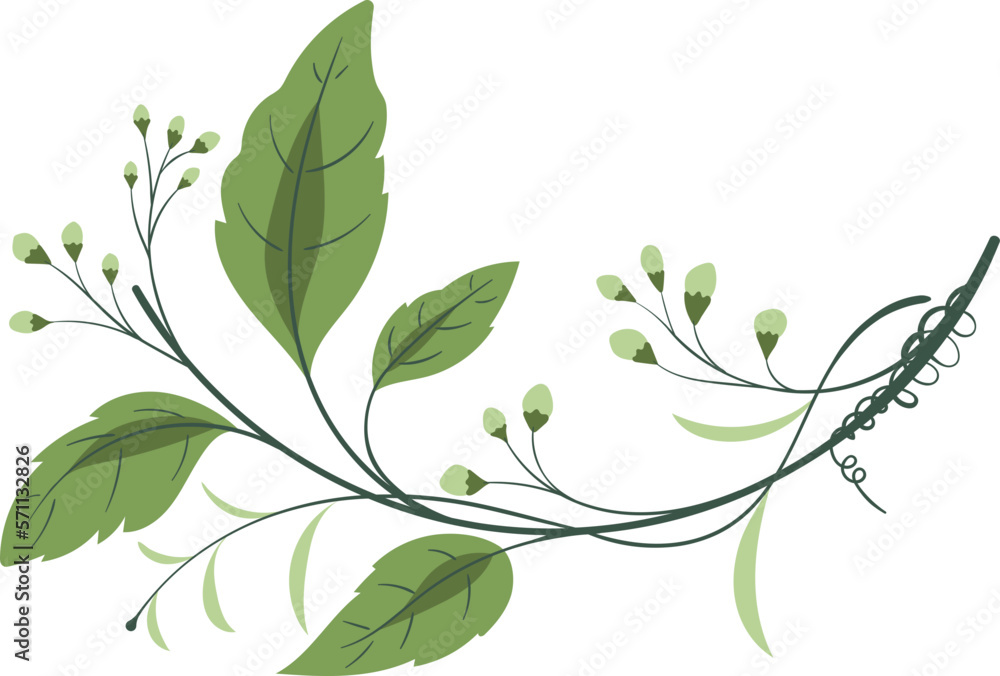 Fototapeta premium Flower Wedding Element