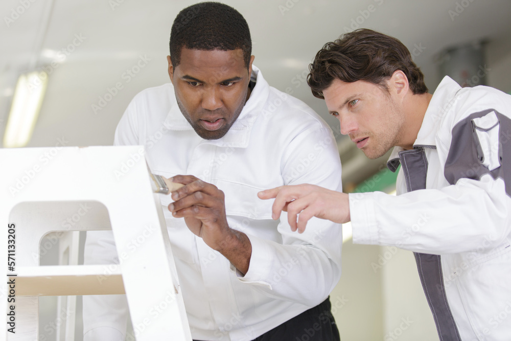 a professional painter and decorator a professional painter and decorator