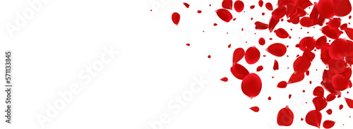 Red Sakura Japan Vector Panoramic White