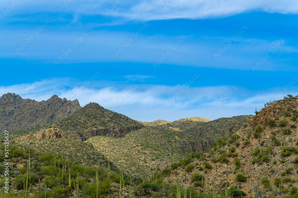 Rolling hillsides in sabino national park in the cliffs and hills of tuscon arizona in the late afternoon shade with blue sky