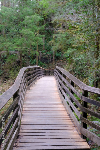 wooden bridge in the woods