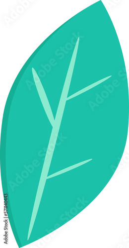 leaf and plant illustration