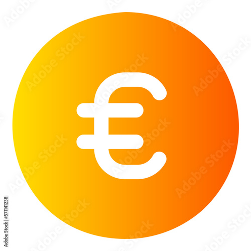 euro sign icon