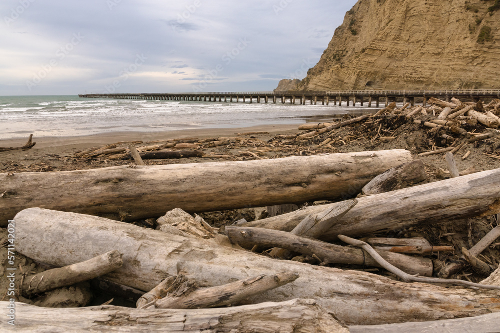Forestry slash on Tolaga Bay beach, NZ following a storm that washed the slash off the surrounding hills and into the rivers which discharge into the ocean.
Forestry slash on Tolaga Bay beach, NZ following a storm that washed the slash off the surrounding hills and into the rivers which discharge into the ocean.