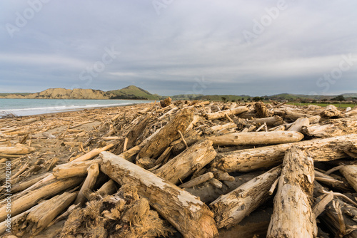 Forestry slash on Tolaga Bay beach, NZ following a storm that washed the slash off the surrounding hills and into the rivers which discharge into the ocean.
  photo