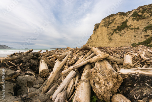 Forestry slash on Tolaga Bay beach, NZ following a storm that washed the slash off the surrounding hills and into the rivers which discharge into the ocean.
  photo