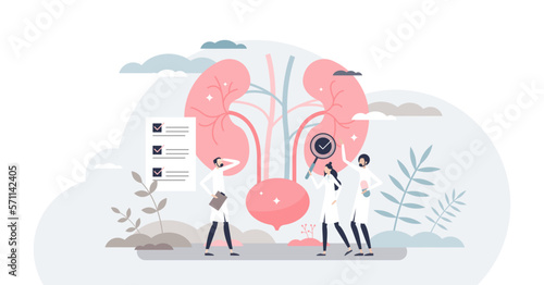 Nephrologist as kidney and bladder professional doctor tiny person concept, transparent background. Nephrology as inner organs occupation and health care.