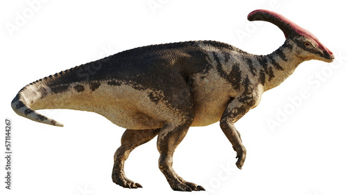 Parasaurolophus, dinosaur from Late Cretaceous, isolated © dottedyeti