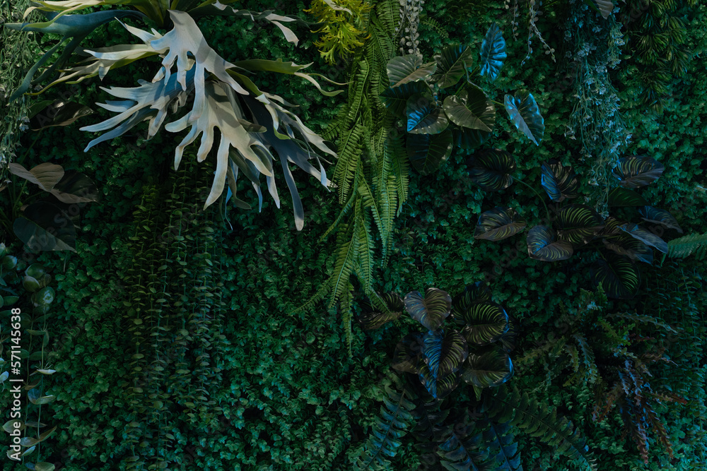 Fototapeta premium Full Frame of Green Leaves Pattern Background, Nature Lush Foliage Leaf Texture, tropical leaf