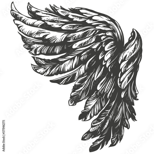 Angel wings, bird wings collection cartoon hand drawn vector illustration sketch