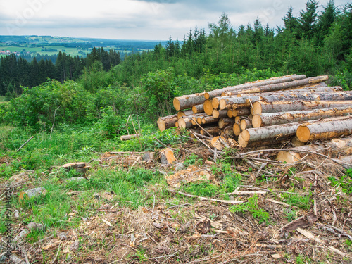 Small logging in Bavaria