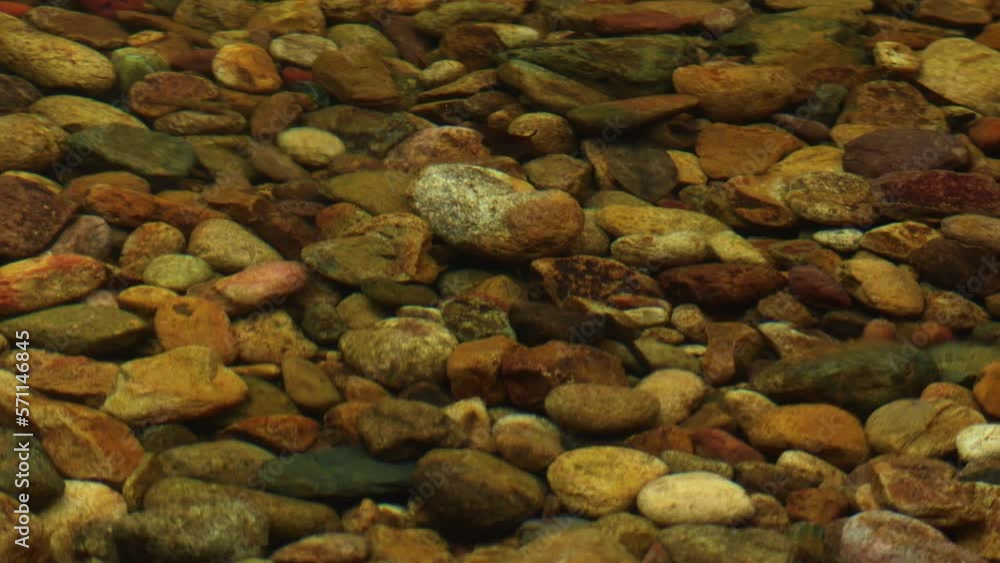 Beautiful in nature and small fish in the clear waters of Than Mayom Waterfall at Koh Chang islands,Trat, Thailand. scenic relaxing scenery Beautiful in nature and small fish in the clear waters of Than Mayom Waterfall at Koh Chang islands,Trat, Thailand. scenic relaxing scenery