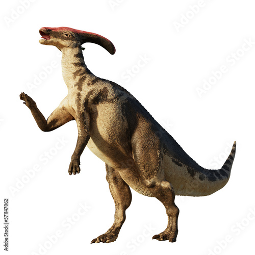 Parasaurolophus, dinosaur from Late Cretaceous, isolated  © dottedyeti