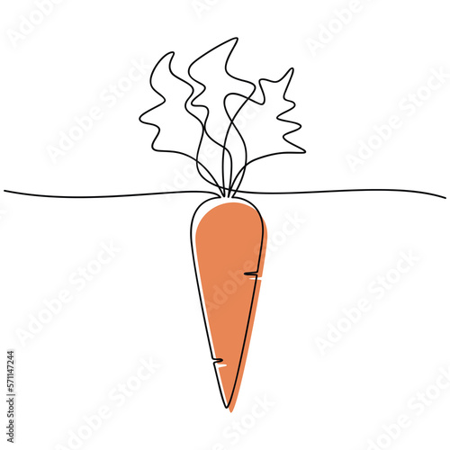 Carrot with leaves vector. Line continuous hand drawn illustration. Vegetable outline icon. Garden plant. Minimal linear silhouette. Minimal design, print, banner, card, brochure, logo, menu.