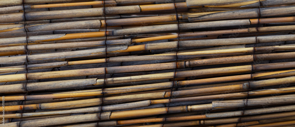 weathered reed wall,grunge background for design, weathered reed wall,grunge background for design,