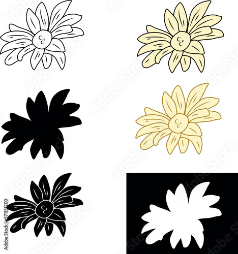 Fototapeta Naklejka Na Ścianę i Meble -  Vector set of chrysanthemums. Chrysanthemum silhouette. Line art flowers. Chrysanthemums line art. 
