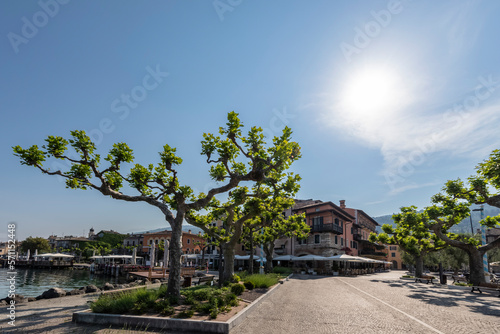 Italy, Veneto, Torri del Benaco, Summer sun shining over trees at Viale Guglielmo Marconi photo