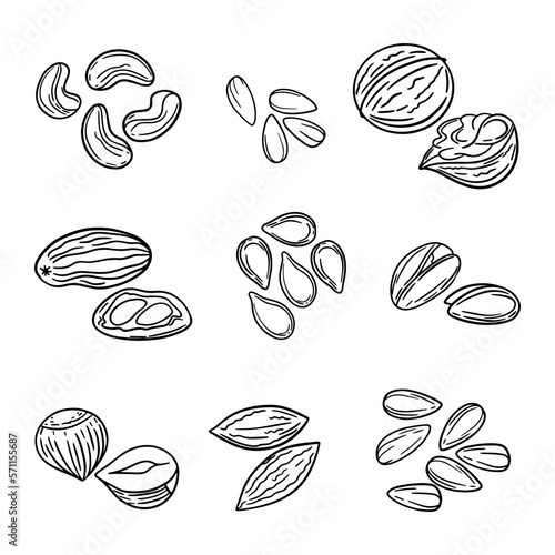 Vector background of dry nuts and seeds - almond, cashew, peanut, walnut, pistachio.