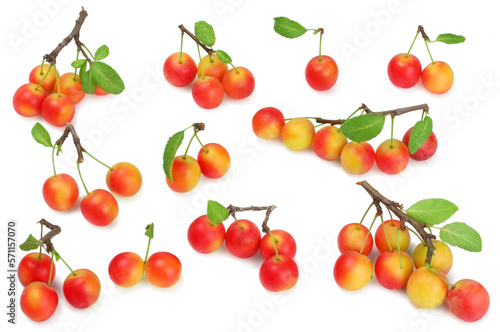 Plums isolated on white background