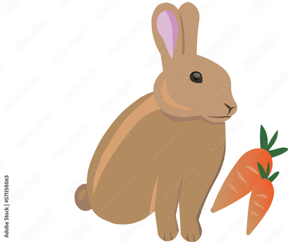 Obraz premium rabbit with carrot