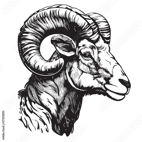 ram portrait hand drawn sketch Vector illustration Farm animals