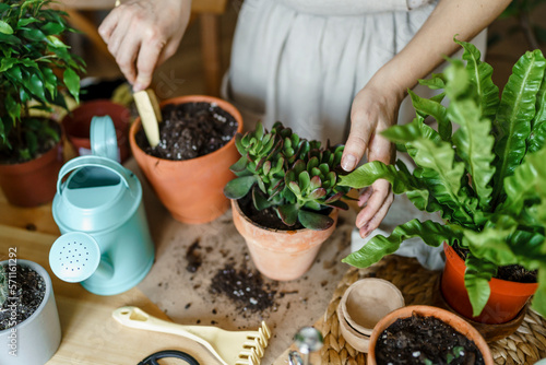 Woman using gardening trowel and planting in pot at home photo