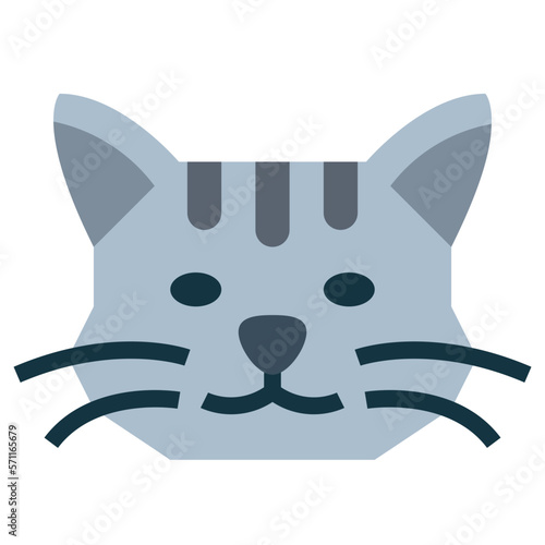 Shorthair Cat flat icon style