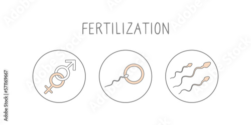 Fertilization icon set. Linear simple illustration pregnancy and childbirth. Motherhood signs. Vector photo
