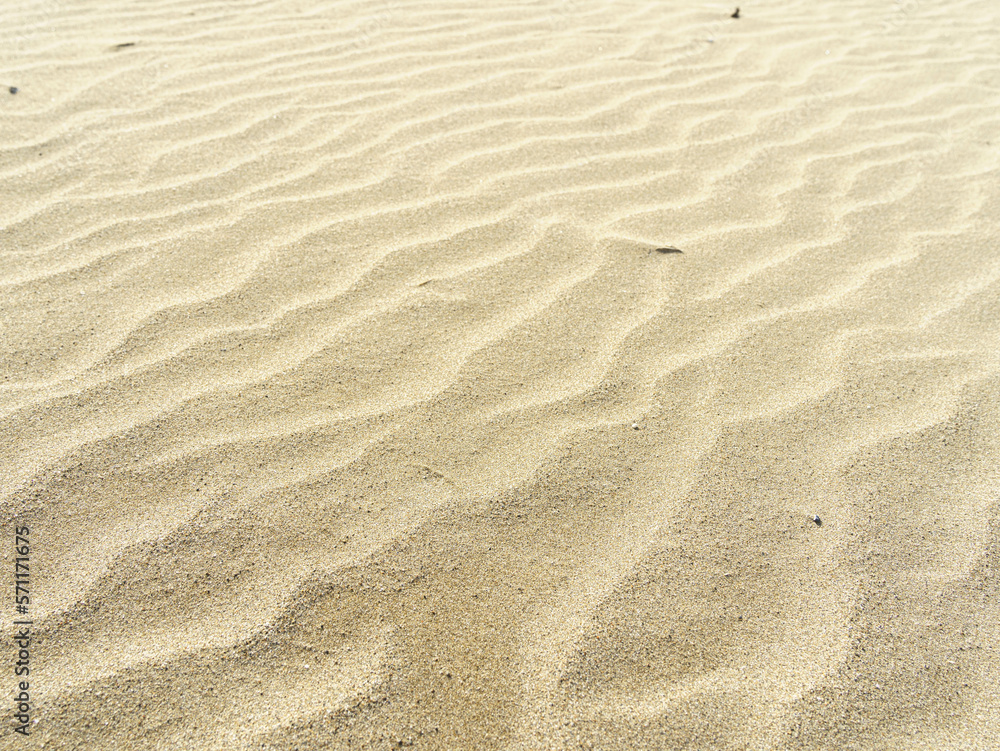 波打つ砂浜