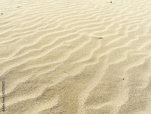 波打つ砂浜 © MIKI